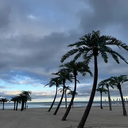 Apartamento Kaia Wave Mamaia Nord *